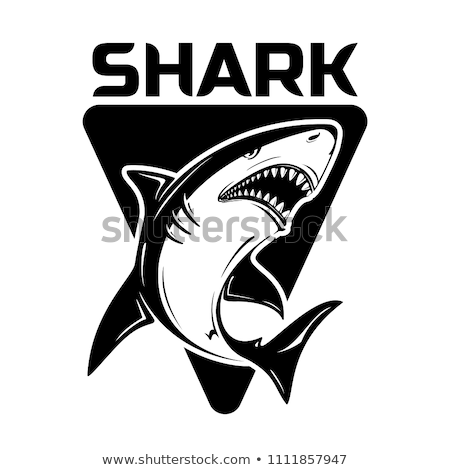 Stok fotoğraf: Great Tiger Shark Isolated On White Background Vector Cartoon Close Up Illustration
