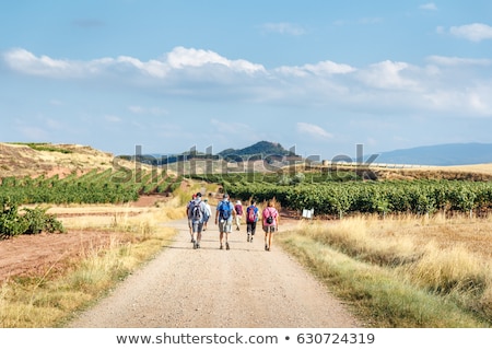 Stok fotoğraf: Pilgrim Walking The Camino Of Santiago In Spain Countryside