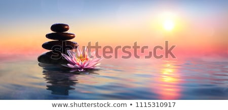 Stock photo: Zen Or Spa Stones