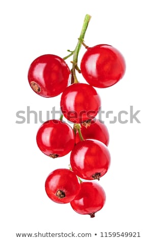 Stok fotoğraf: Fresh Red Currant Berries