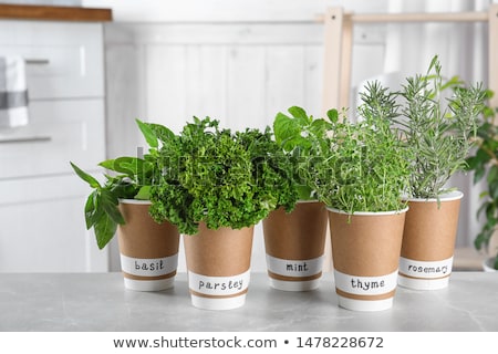 [[stock_photo]]: Lantules · d'herbes