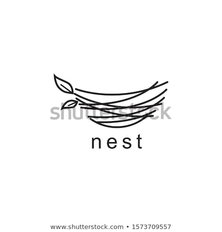 [[stock_photo]]: Icon Nest