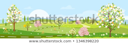 Stock photo: Flowers And Tree