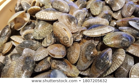 Stock fotó: Raw Fresh Seafood Fish And Clams For Sale At Asian Food Market