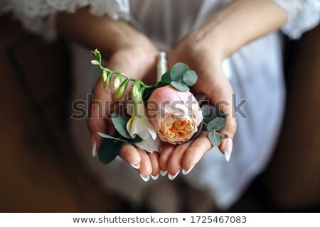 Foto d'archivio: Beautiful Bride Is Worn By The Groom