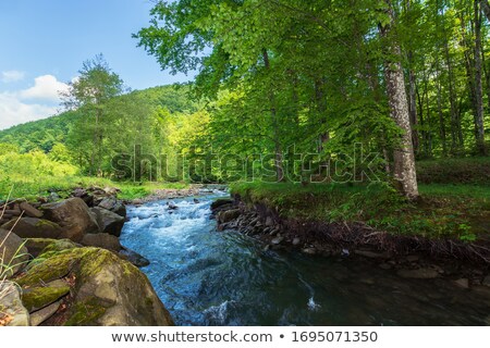 Stock fotó: Peaceful Creek Flowing Through The Green Plains