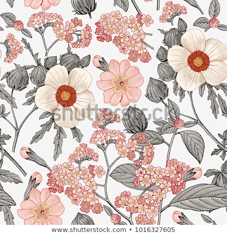 Foto d'archivio: Vintage Flower Pattern