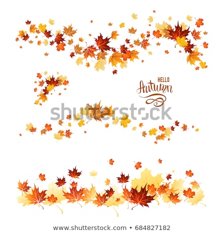 [[stock_photo]]: Euilles · d'automne · d'automne
