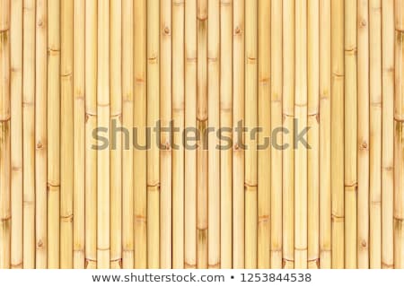 Сток-фото: Old Bamboo Texture