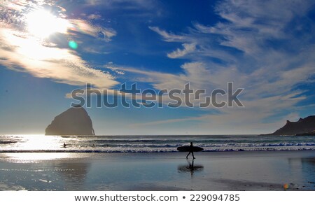 Stok fotoğraf: Surfer At Cape Kiwanda In Pacific City