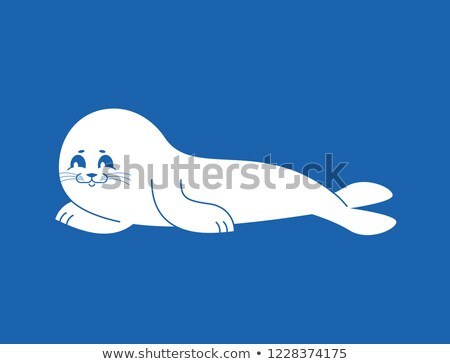 Foto d'archivio: Fur Seal White Isolated Small Sea Calf Animal Of Arctic And An