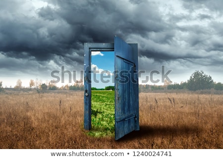 ストックフォト: Doorway With Green Carpet