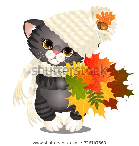 Stock fotó: Animated Cute Grey Kitten In A Warm Knitted Hat With Pompom Holding In Paws A Bundle Of Colorful Dri