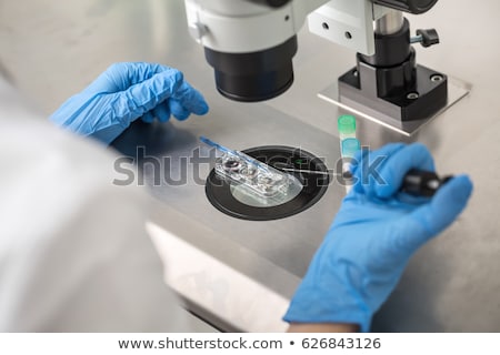 In Vitro Stockfoto © bezikus