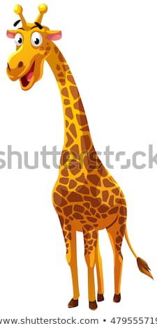 Foto stock: Giraffe Cartoon