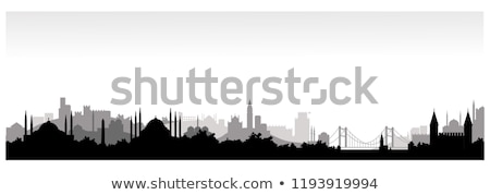 Stok fotoğraf: Silhouette Of Istanbul Turkey