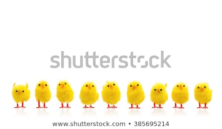 Stock fotó: Row Of Easter Chicken