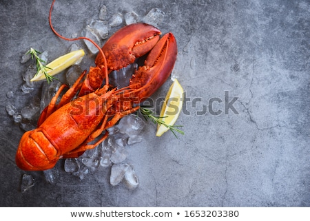 Foto stock: Lobster