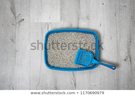 [[stock_photo]]: Toilet Container For The Cat