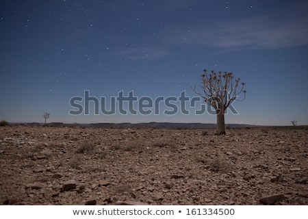 Stok fotoğraf: Scene With River And Canyon At Night