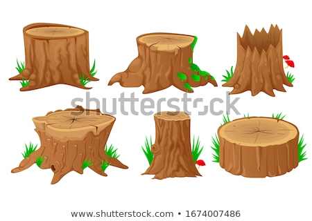 Zdjęcia stock: Tree Stump Vector