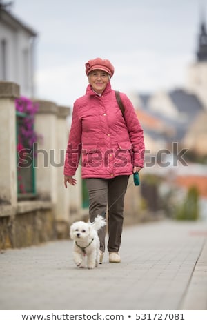 Stockfoto: Senior Woman Walking Her Little Dog On A City Street