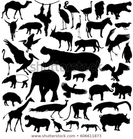 Imagine de stoc: Set Of Silhouette Wild Animal