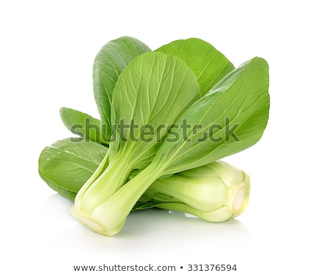 Stock photo: Pak Choy