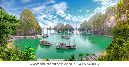 Zdjęcia stock: Halong Bay In Vietnam