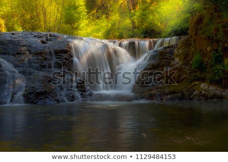 Foto stock: Waterfall Along Sweet Creek In Oregon