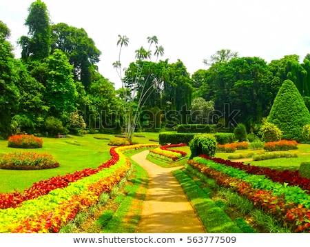 Stock photo: Botanical Garden Of Peradeniya