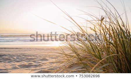 ストックフォト: Australian Beach