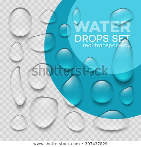 Stock fotó: Clear Blue Vector Water Drops Set