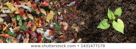 Zdjęcia stock: Composting