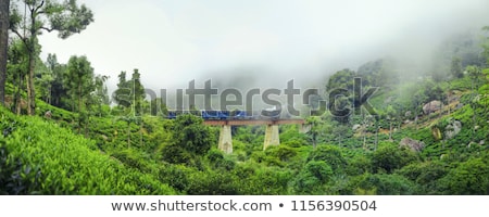 Stok fotoğraf: Wooden Toy Train In Rural Landscape