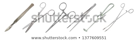 Stock photo: Surgical Scissors