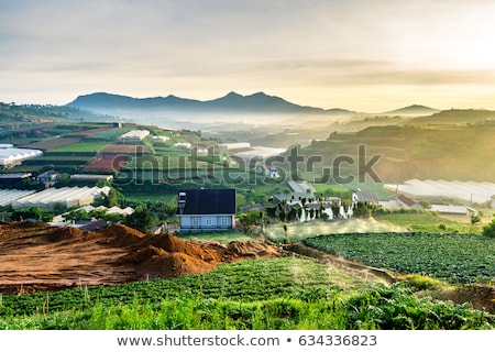 Stock foto: Dalat Farmland - Vietnam