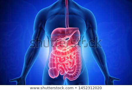 Stock photo: Gastrointestinal Tract Abstract Background