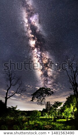 Stock fotó: Landscape Under The Milky Way