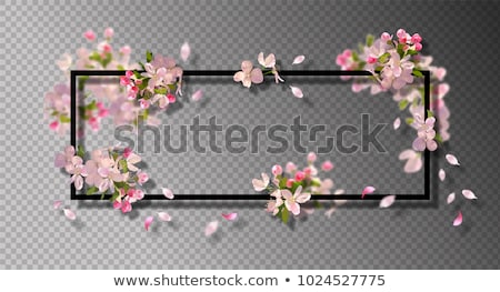 Frame With Flowers Transparent Background Foto stock © kostins