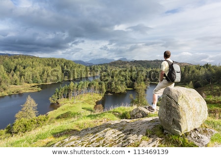 Stok fotoğraf: View Over Tarn Hows In English Lake District