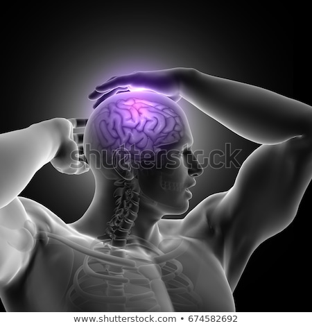 3d Rendered Illustration - Male Brain Imagine de stoc © Kjpargeter