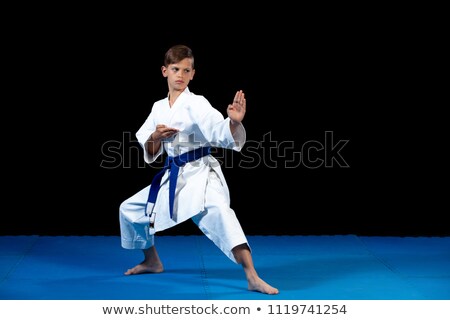 Stockfoto: Martial Arts Sparring Punch