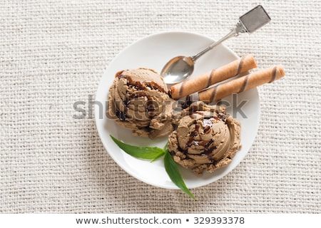 Zdjęcia stock: Mocha Fudge Ice Cream