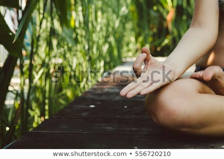 Stock foto: Londine · in · Lotus-Pose · im · grünen · Gras