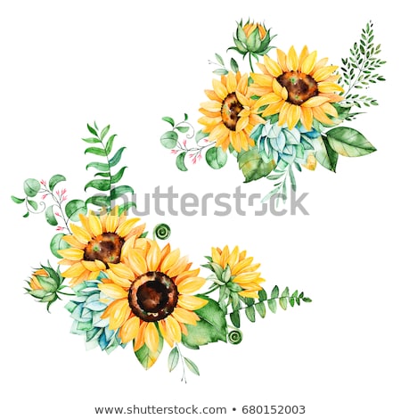 Foto d'archivio: Frame Branch Sunflowers