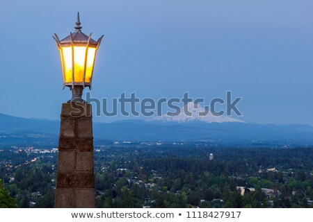 Stock photo: Stone Lamp Post At Rocky Butte