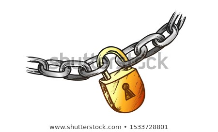 ストックフォト: Steel Chain And Brass Padlock Color Vector