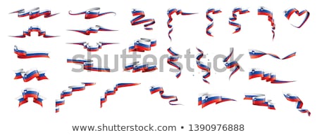 Stock fotó: Slovenia Flag Vector Illustration On A White Background