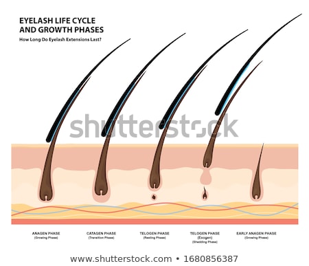 Stok fotoğraf: Illustration Of Extensions